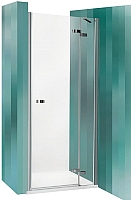 Душевая дверь Roltechnik Elegant Line GDNP1/120 (хром/прозрачное стекло) - 