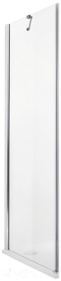 Душевая стенка Roltechnik Elegant Line GBL1/100 (хром/прозрачное стекло) - GBL1