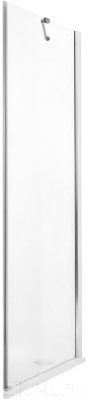 Душевая стенка Roltechnik Elegant Line GBP1/100 (хром/прозрачное стекло)