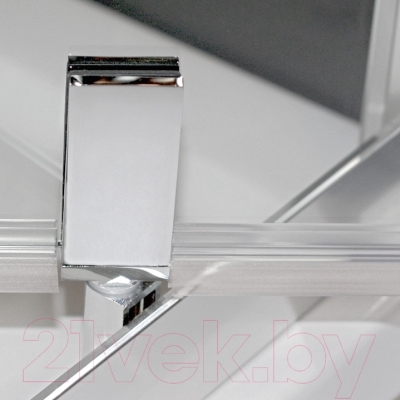 Душевая дверь Roltechnik Exclusive Line ECDO1/100 (сатин/прозрачное стекло) - поворотный механизм с хромированной отделкой