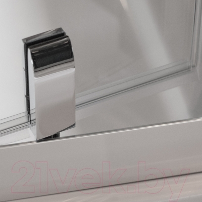 Душевая дверь Roltechnik Exclusive Line ECDO1N/100 (черный/прозрачное стекло) - поворотный механизм с хромированной отделкой