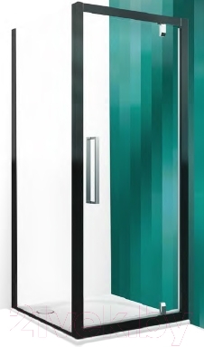 Душевая дверь Roltechnik Exclusive Line ECDO1N/100 (черный/прозрачное стекло) - черная дверь в комплекте со стенкой