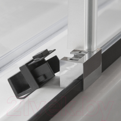 Душевая дверь Roltechnik Exclusive Line ECD2P/120 (черный/прозрачное стекло)