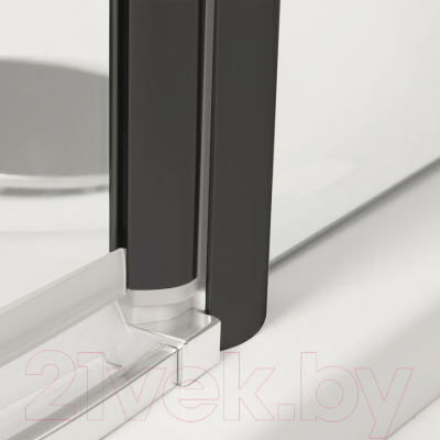 Душевая дверь Roltechnik Exclusive Line ECD2P/150 (черный/прозрачное стекло)