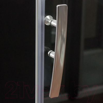 Душевая дверь Roltechnik Proxima Line PXDO1N/100 (хром/прозрачное стекло)