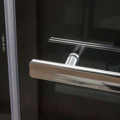 Душевая дверь Roltechnik Proxima Line PXD2N/120 (хром/прозрачное стекло)