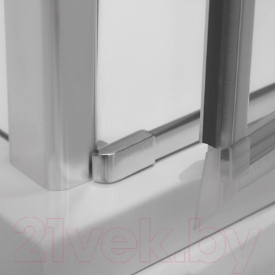 Душевая дверь Roltechnik Tower Line TDN1/100 (сатин/прозрачное стекло) - магнитный профиль