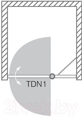 Душевая дверь Roltechnik Tower Line TDN1/100 (сатин/прозрачное стекло)