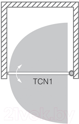 Душевая дверь Roltechnik Tower Line TCN1/100 (сатин/прозрачное стекло)