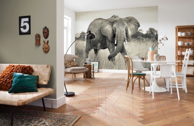 

Фотообои Komar, Elephant XXL4-529
