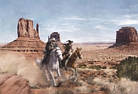 

Фотообои листовые Komar, Lone Ranger 8-473