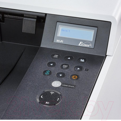 Принтер Kyocera Mita ECOSYS P5021cdw