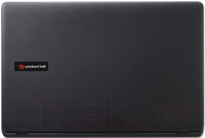 Ноутбук Packard Bell EasyNote TG81BA-P1MV (NX.C3YER.022)