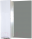 Шкаф с зеркалом для ванной СанитаМебель Камелия-08 Д3 (левый, белый) - 
