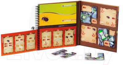 Игра-головоломка Bondibon Деловые жуки ВВ0885
