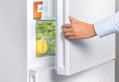 Холодильник с морозильником Liebherr CN 4313