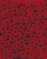 

Фотообои листовые Komar, Roses 4-077