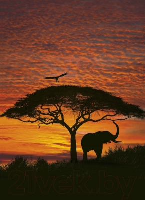 Фотообои листовые Komar African Sunset 4-501 (194x270)