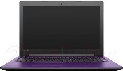 Ноутбук Lenovo Ideapad 310-15IAP (80TT002JRA)