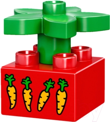 Конструктор Lego Duplo Домашние животные 10838
