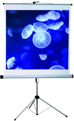 Проекционный экран Mechanische Weberei (MW) Combiflex Budget 150x150 - общий вид