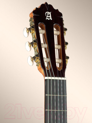 Акустическая гитара Alhambra 6 P