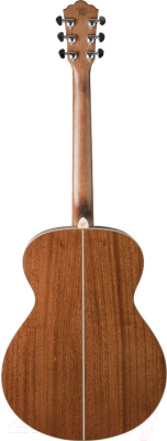 Акустическая гитара Washburn WG16S