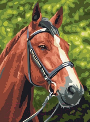 Картина по номерам Picasso Лошадь №1 (PC3040009)
