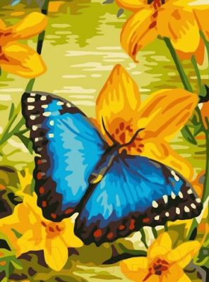 Картина по номерам Picasso Синяя бабочка (PC3040013)