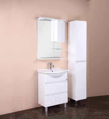 Шкаф с зеркалом для ванной Onika Элита 60.01 (206020)