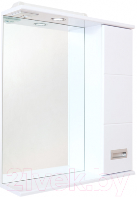 Шкаф с зеркалом для ванной Onika Балтика 58.01 (205816)