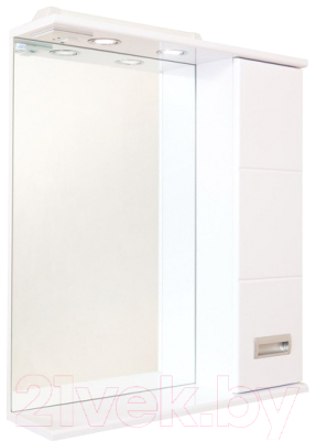 Шкаф с зеркалом для ванной Onika Балтика 67.02 (206704)