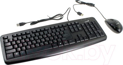 Клавиатура+мышь Genius KM-100X (черный)