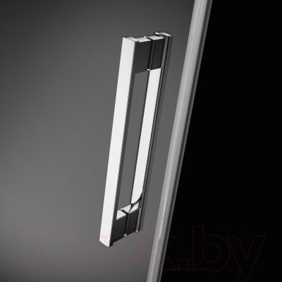 Душевая дверь Radaway Idea KDJ 100 / 387040-01-01L