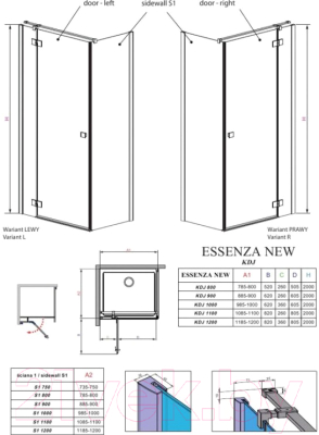 Душевая дверь Radaway Essenza New KDJ 100 L / 385040-01-01L
