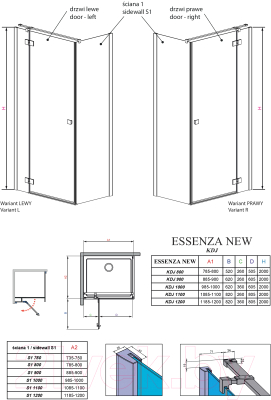 Душевая дверь Radaway Essenza New KDJ 120 L / 385042-01-01L