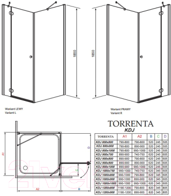 Душевой уголок Radaway Torrenta KDJ 100 R / 32444-01-01NR