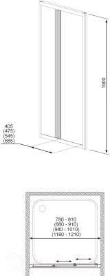 Душевая дверь Radaway Treviso DW / 100 32323-01-01N