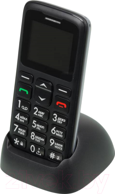 Мобильный телефон Ginzzu R11 Dual (черный)