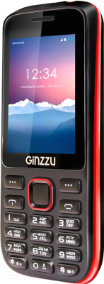 Мобильный телефон Ginzzu M201 Dual (черный/красный)