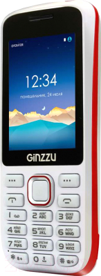 Мобильный телефон Ginzzu M201 Dual (белый/красный)