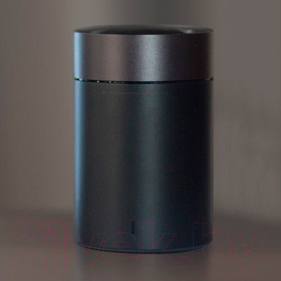 Портативная колонка Xiaomi Mi Bluetooth Speaker 2 (черный)