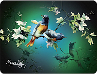 

Коврик для мыши Dialog, PM-H17 Bird