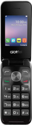 Мобильный телефон Alcatel One Touch 2051D (серебристый металлик)