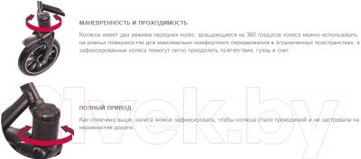 Детская универсальная коляска Anex Cross 2 в 1 (CR03)