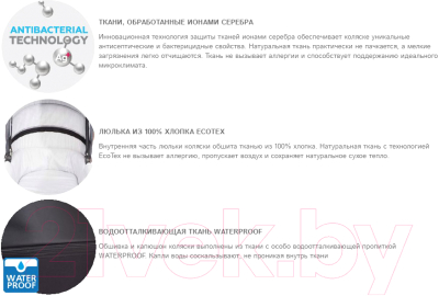 Детская универсальная коляска Anex Cross 2 в 1 (CR03)