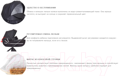Детская универсальная коляска Anex Cross 2 в 1 (CR03)