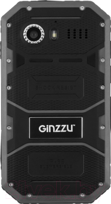 Смартфон Ginzzu RS81D (черный)