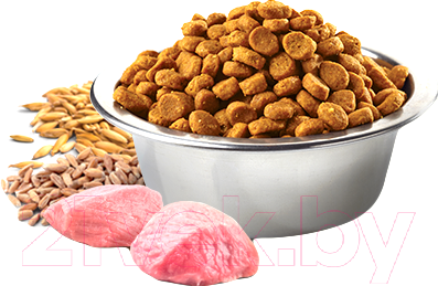Сухой корм для собак Farmina N&D Low Grain Chicken & Pomegranate Puppy Maxi (2.5кг)