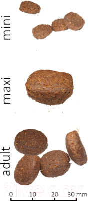 Сухой корм для собак Farmina N&D Low Grain Codfish & Orange Adult Medium (2.5кг)